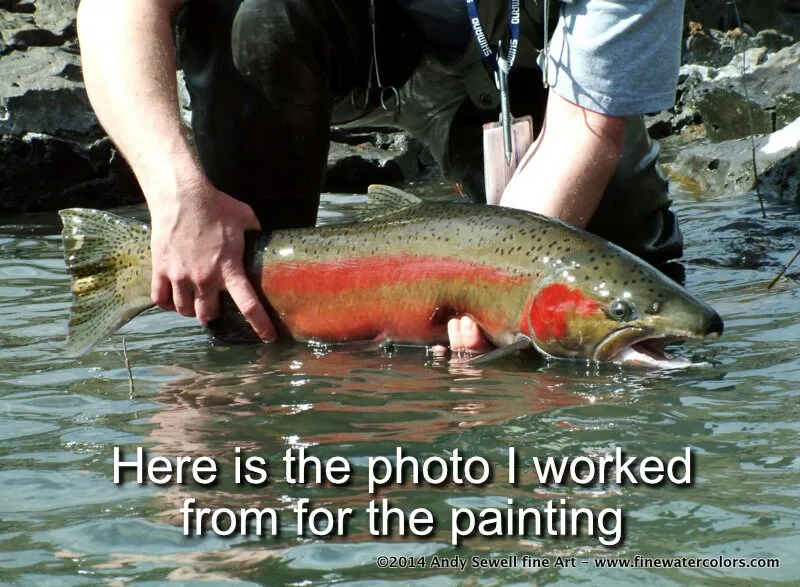 "Colors of the River" (Steelhead) - a ltd. edition s/n giclee art print from an original watercolor of the fabulous Steelhead (see video below)